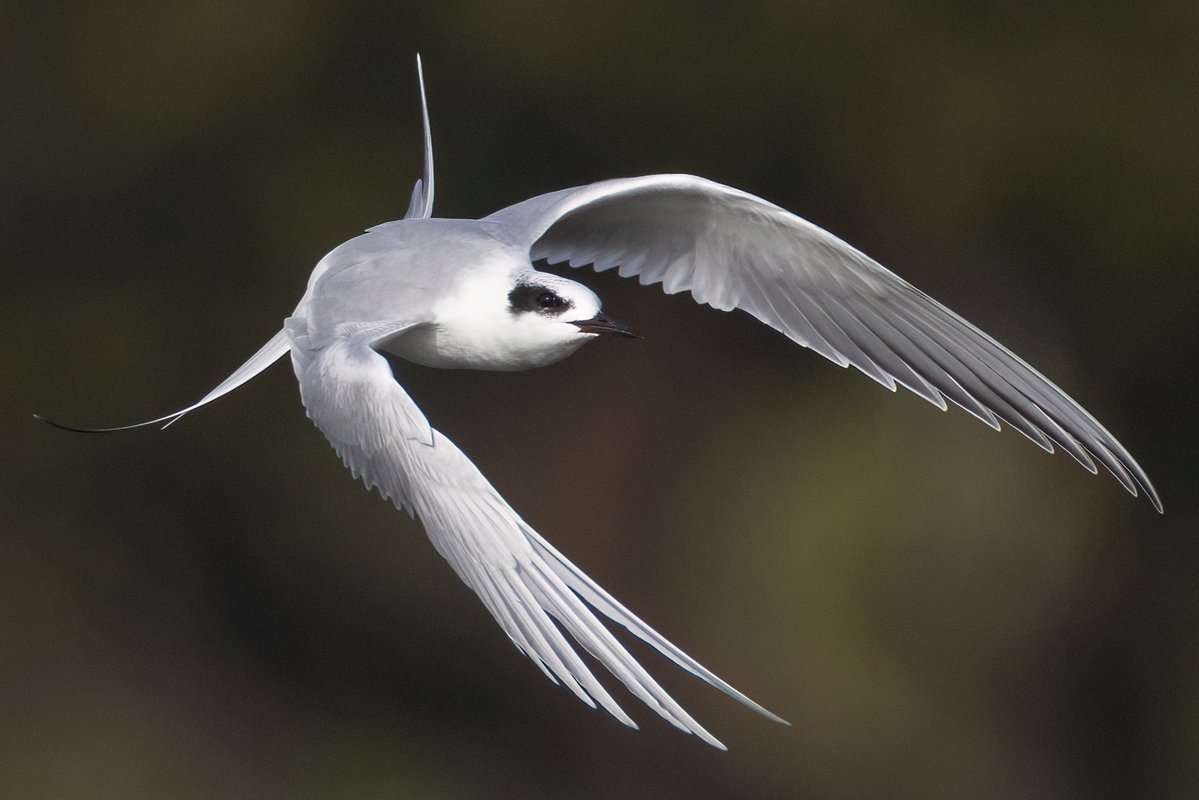 Mark Wright tweet media