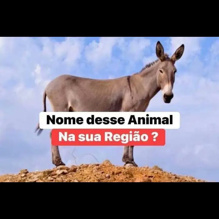 Natanael Melo tweet media