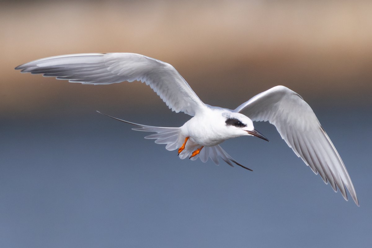 Mark Wright tweet media