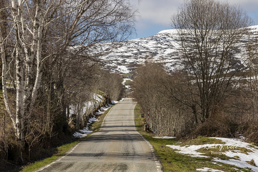 RaulGCoto's tweet photo. #VallesPasiegosBurgaleses #VallesPasiegosBurgos #LasMerindades #EspinosaDeLosMonteros #LasMachorras #ValleDeLaSia #ValleDeLunada #ValleDeTrueba #PasiegosBurgaleses #NorteDeBurgos #PaisajePasiego #CabañasPasiegas #MontañaBurgalesa #TurismoRuralBurgos #NaturalezaCantabrica https://t.co/qOncCfjJ5S