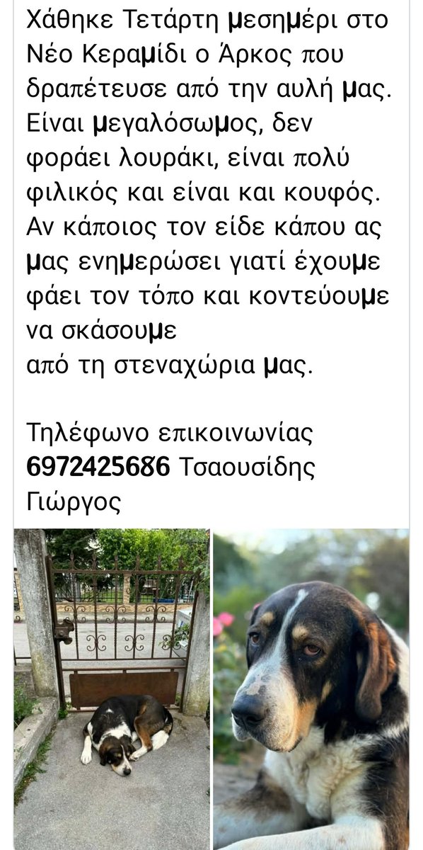 🆘🆘🆘#χαθηκε στο Νέο Κεραμίδι Κατερινης
👇👇👇