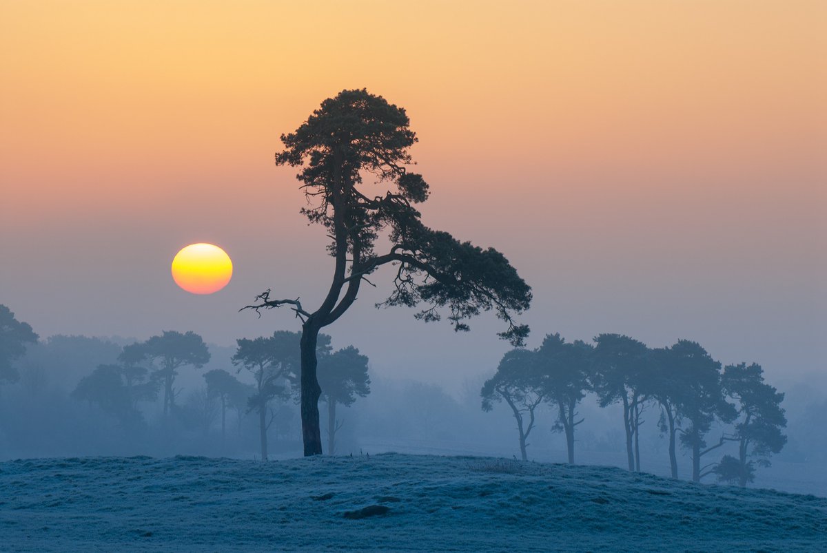 Nigel Danson tweet media