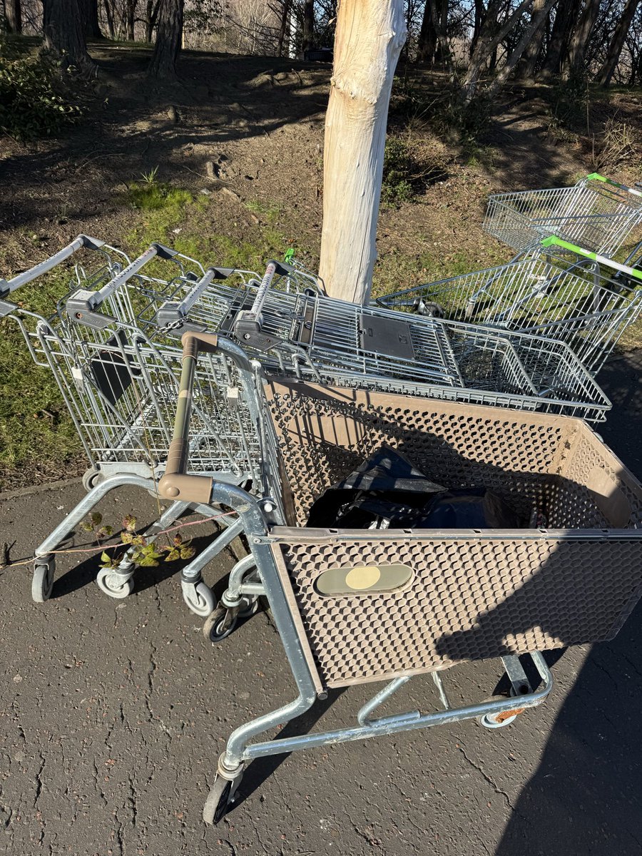 Cleanporty's tweet photo. More trolleys from the @PortyTimebank litter clean in Magdalene Glen. Some @marksandspencer trolleys now st the @asda car park at Fort Kinnaird. https://t.co/KHO6ONKb9S