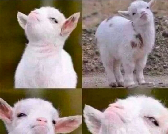 dimi3x.eth 🍉 tweet media