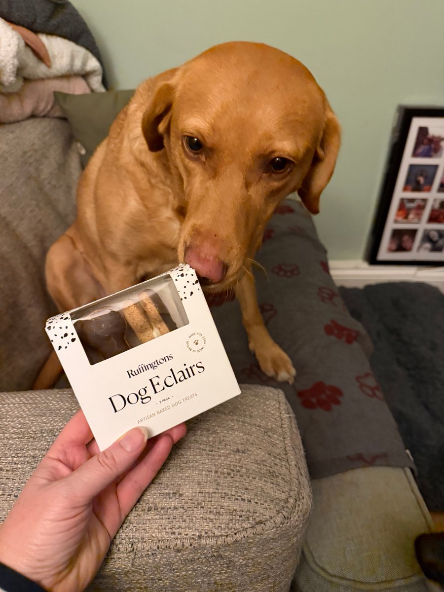 troy and ellie 🐾🐾 tweet media