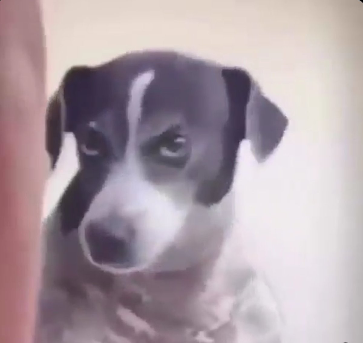 CruiseCurrentHQ 🌊 tweet media