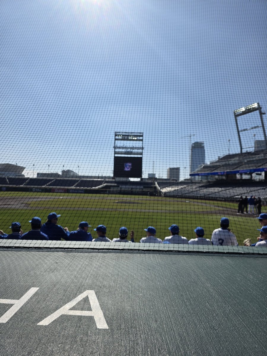 Bleeds Jays Blue tweet media
