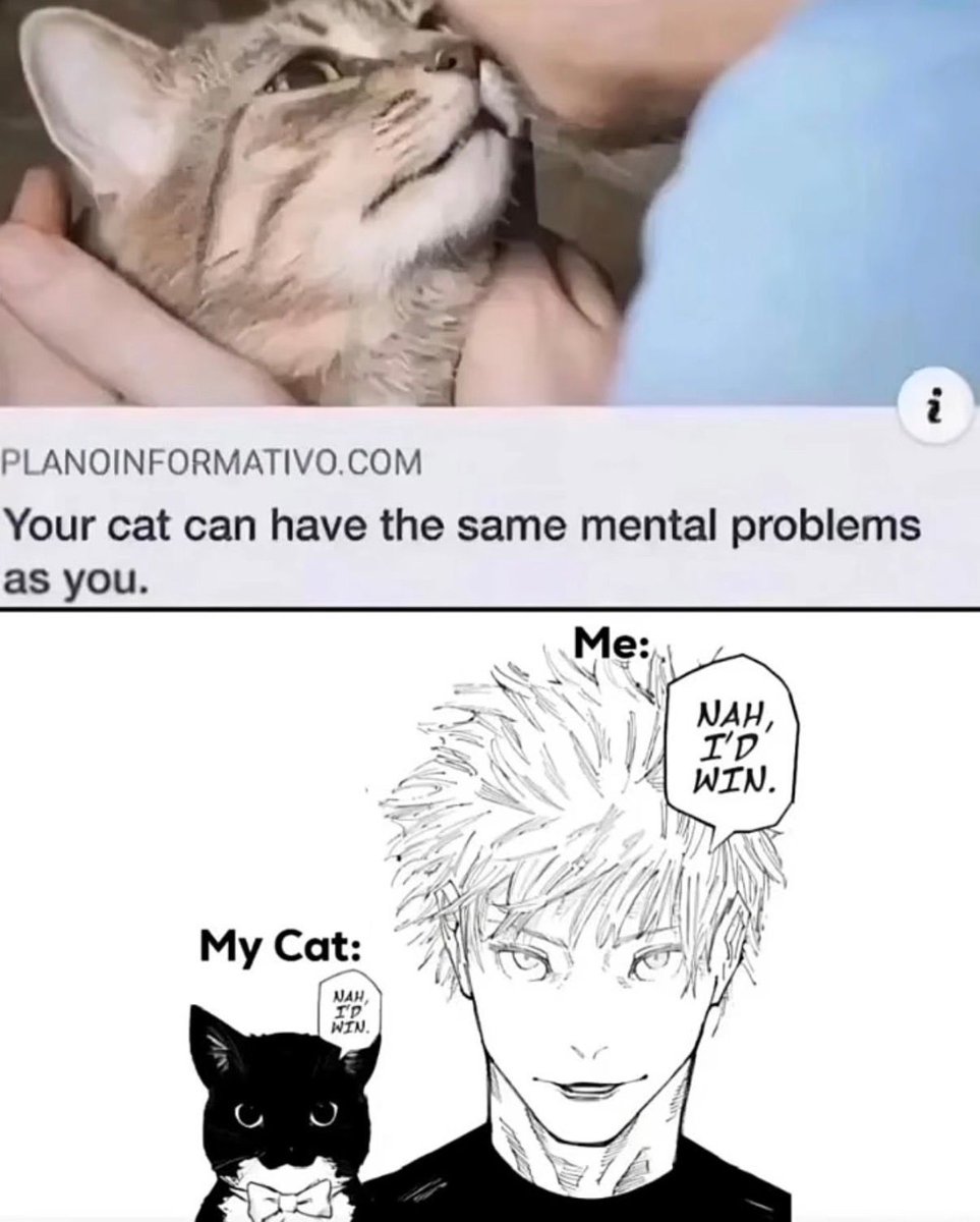 Anime Posts tweet media