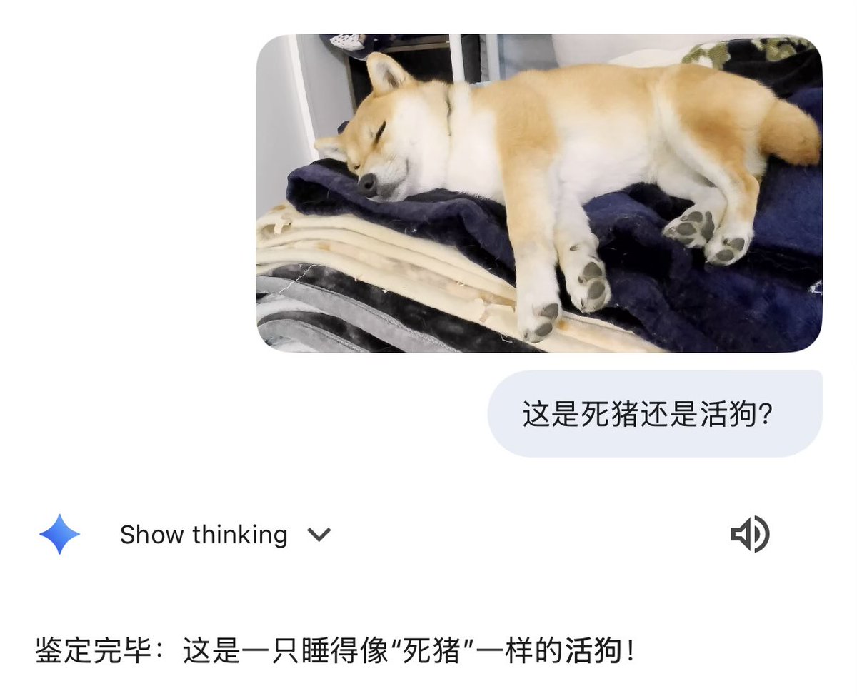 Clarrycy (探索中) tweet media