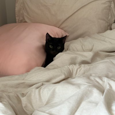 celeste tweet media