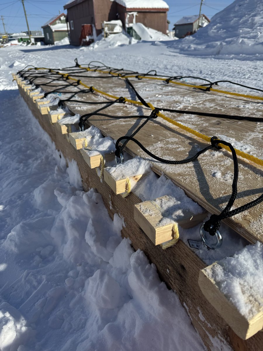 Tony Uluadluak tweet media