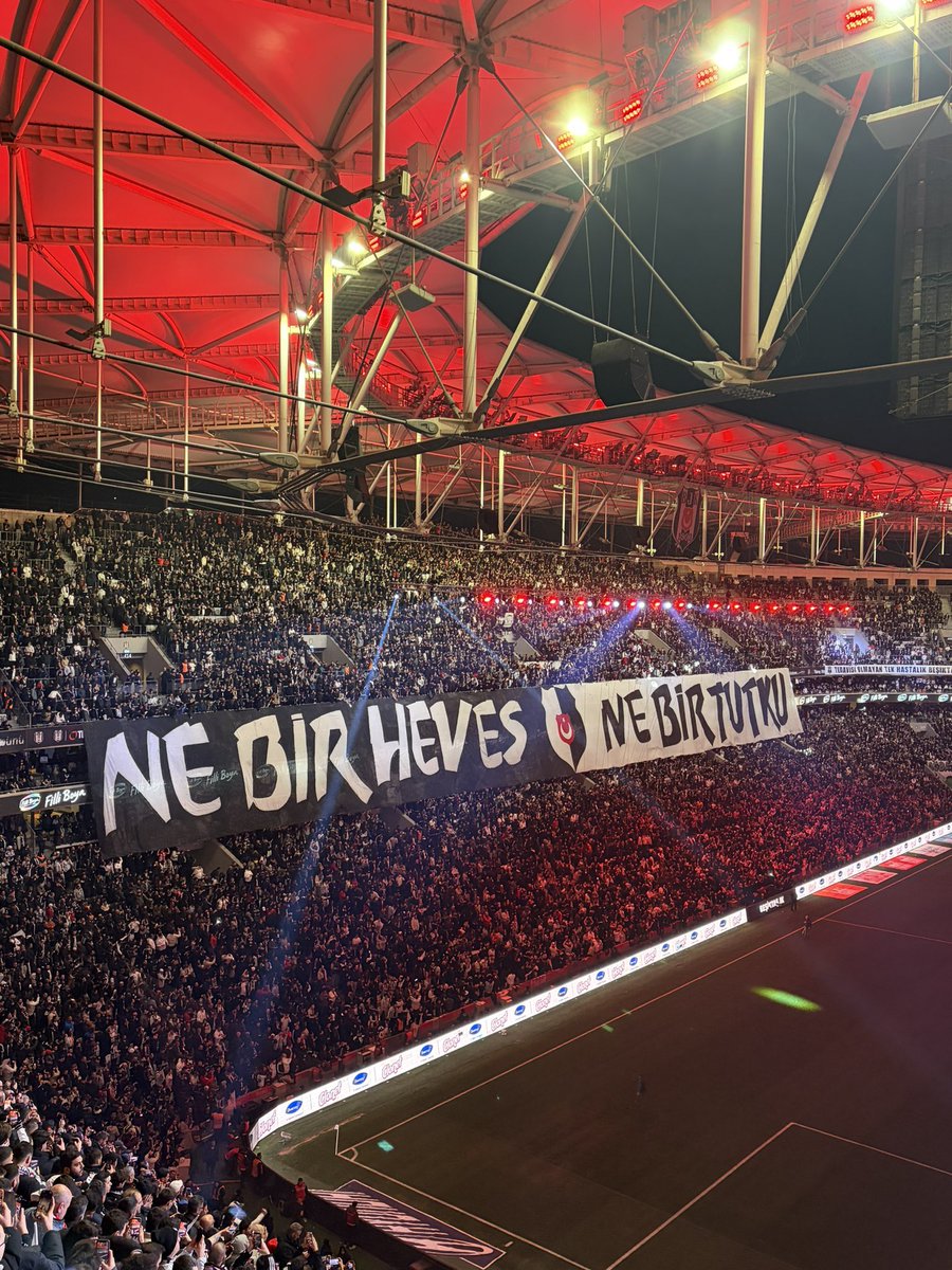 MertAltan1903's tweet photo. 🦅🦅 https://t.co/c2AzvF1CgJ