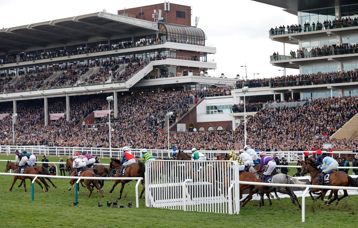 Racing Post tweet media