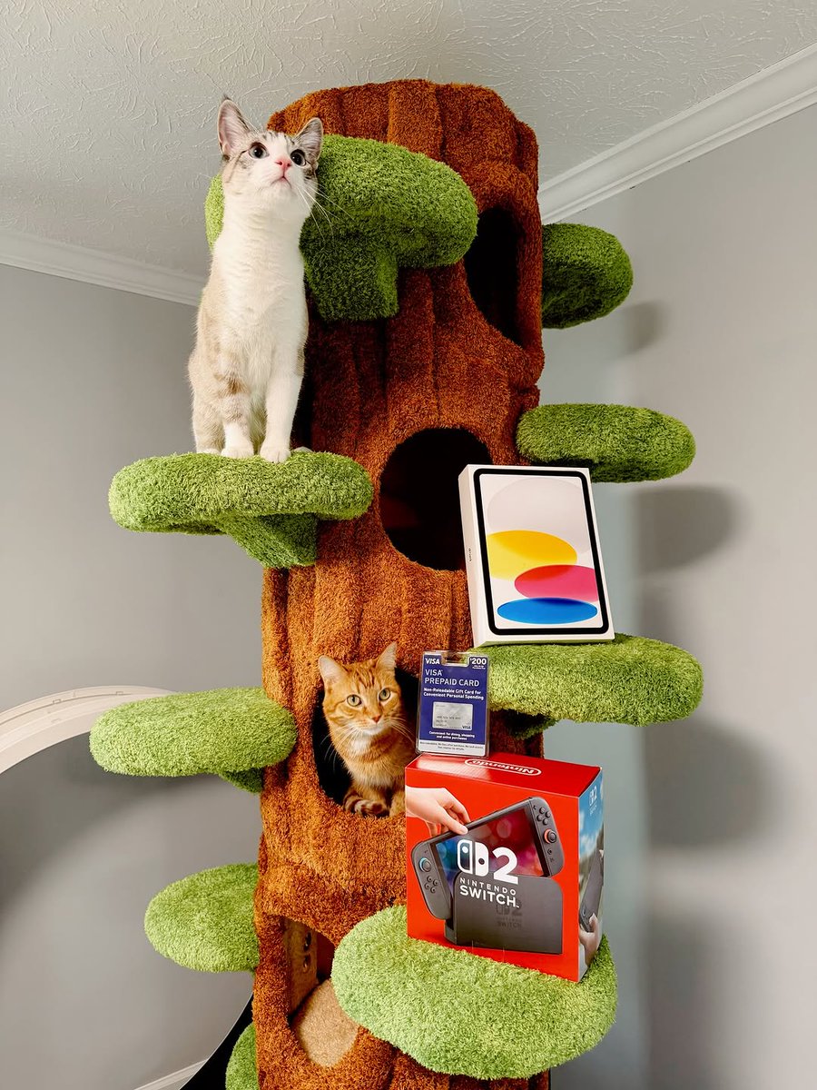 Abram Engle tweet media