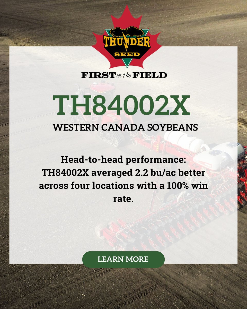 Thunder Seed tweet media