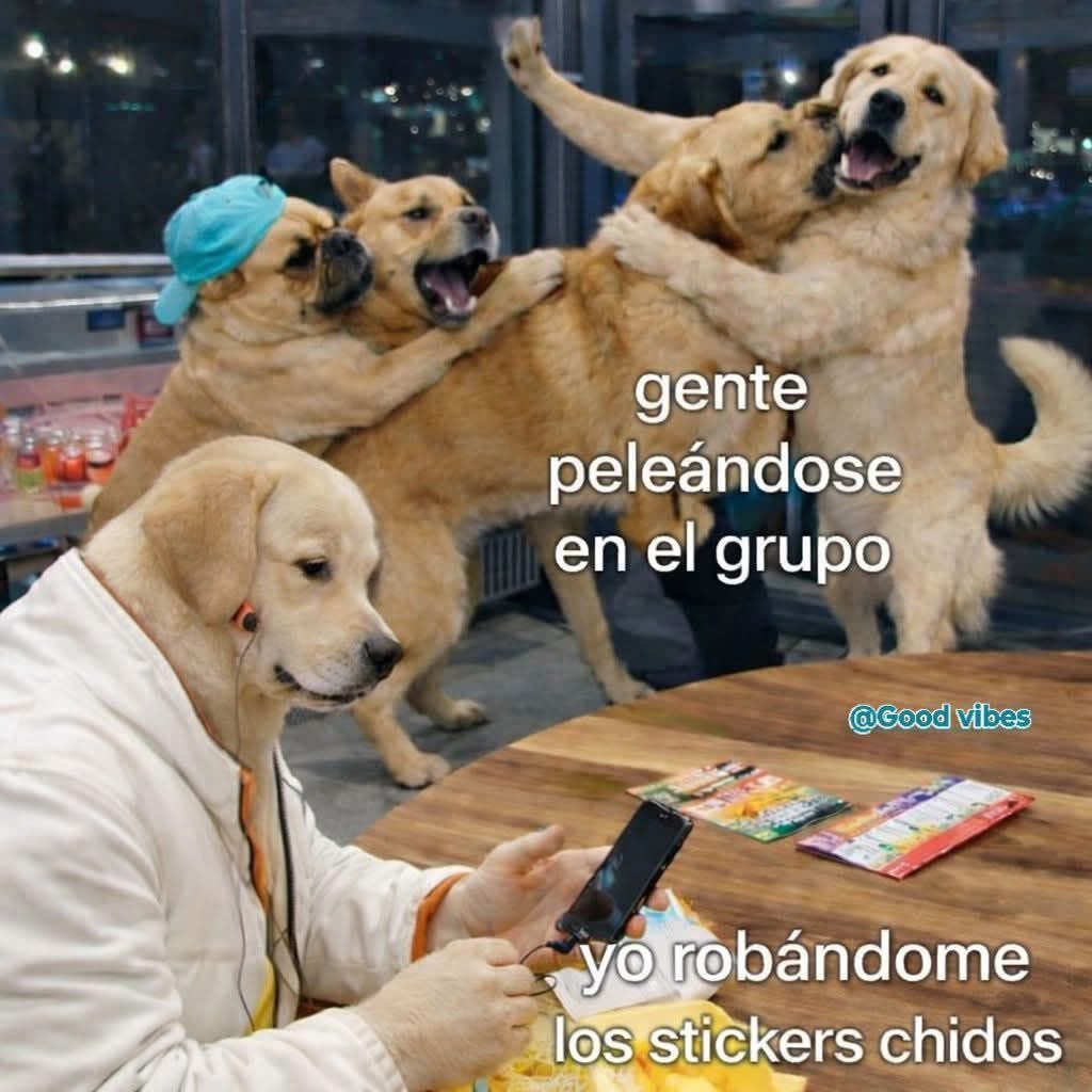 Dilo con perritos (@diloconperritos) on Twitter photo 