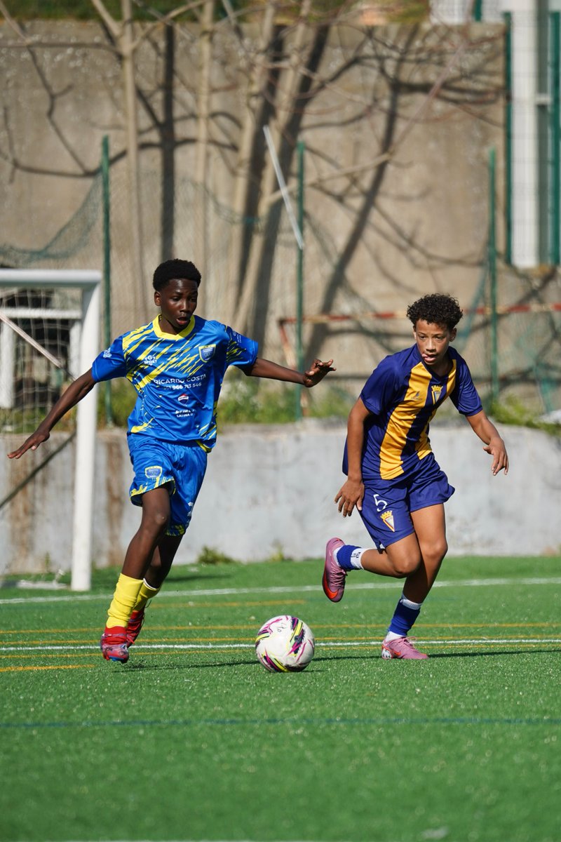 AtleticoCP1942's tweet image. ⚽️ | #MadeInAtletico   

⚽️ #Sub14 
🆚 Associação Desportiva da Amadora

O 𝗙𝗨𝗧𝗨𝗥𝗢 está em 𝗖𝗔𝗦𝗔! 💪

🟡🔴🔵

#sempreatletico
#ViverLutarVencer  

📸 @castcandiphotography