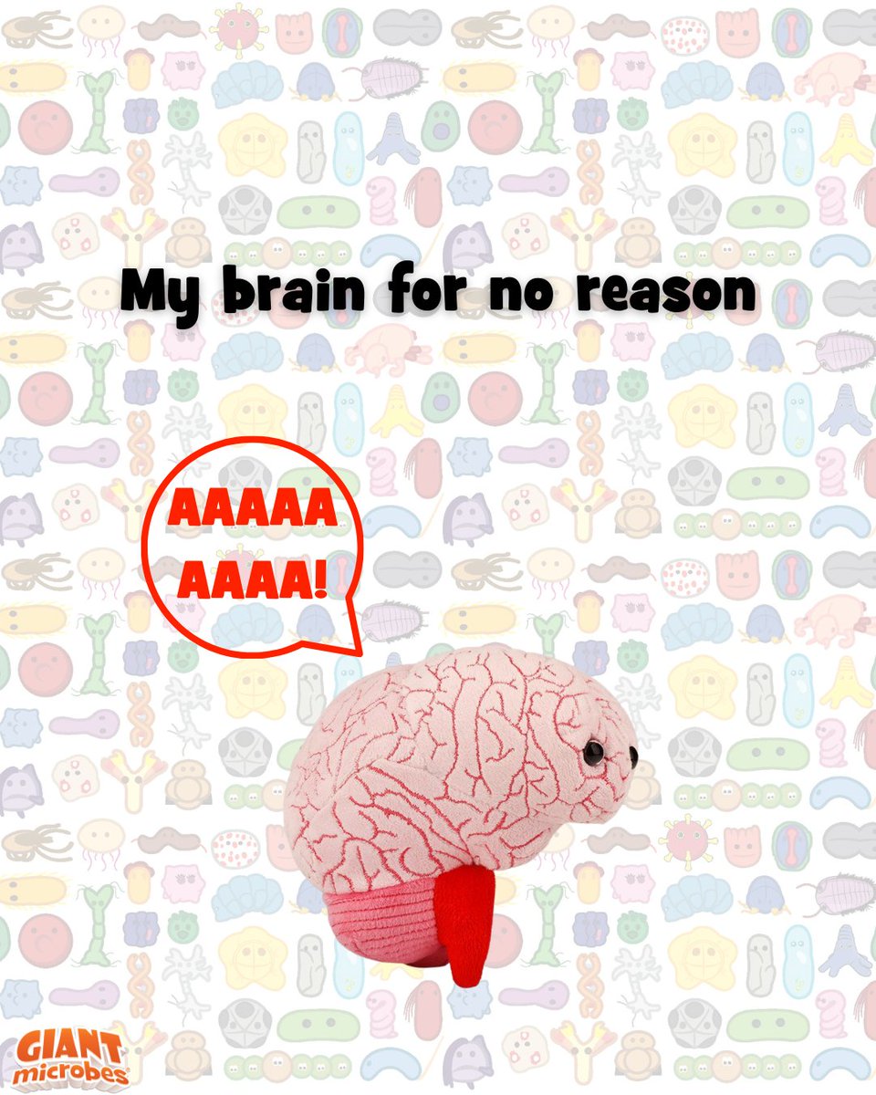 GIANTmicrobes's tweet image. Me: I literally did nothing??? 😠🦴

At least these ones are soft, educational, and significantly less dramatic.

Snag their friendlier counterparts here: giantmicrobes.com/us/main/organs

#Chronic #Organ #GIANTmicrobes #Plushies #Biology