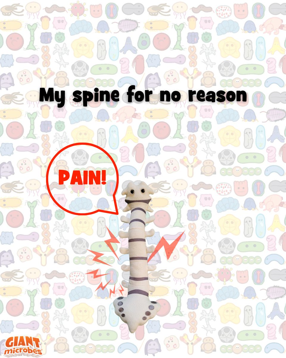 GIANTmicrobes's tweet image. Me: I literally did nothing??? 😠🦴

At least these ones are soft, educational, and significantly less dramatic.

Snag their friendlier counterparts here: giantmicrobes.com/us/main/organs

#Chronic #Organ #GIANTmicrobes #Plushies #Biology