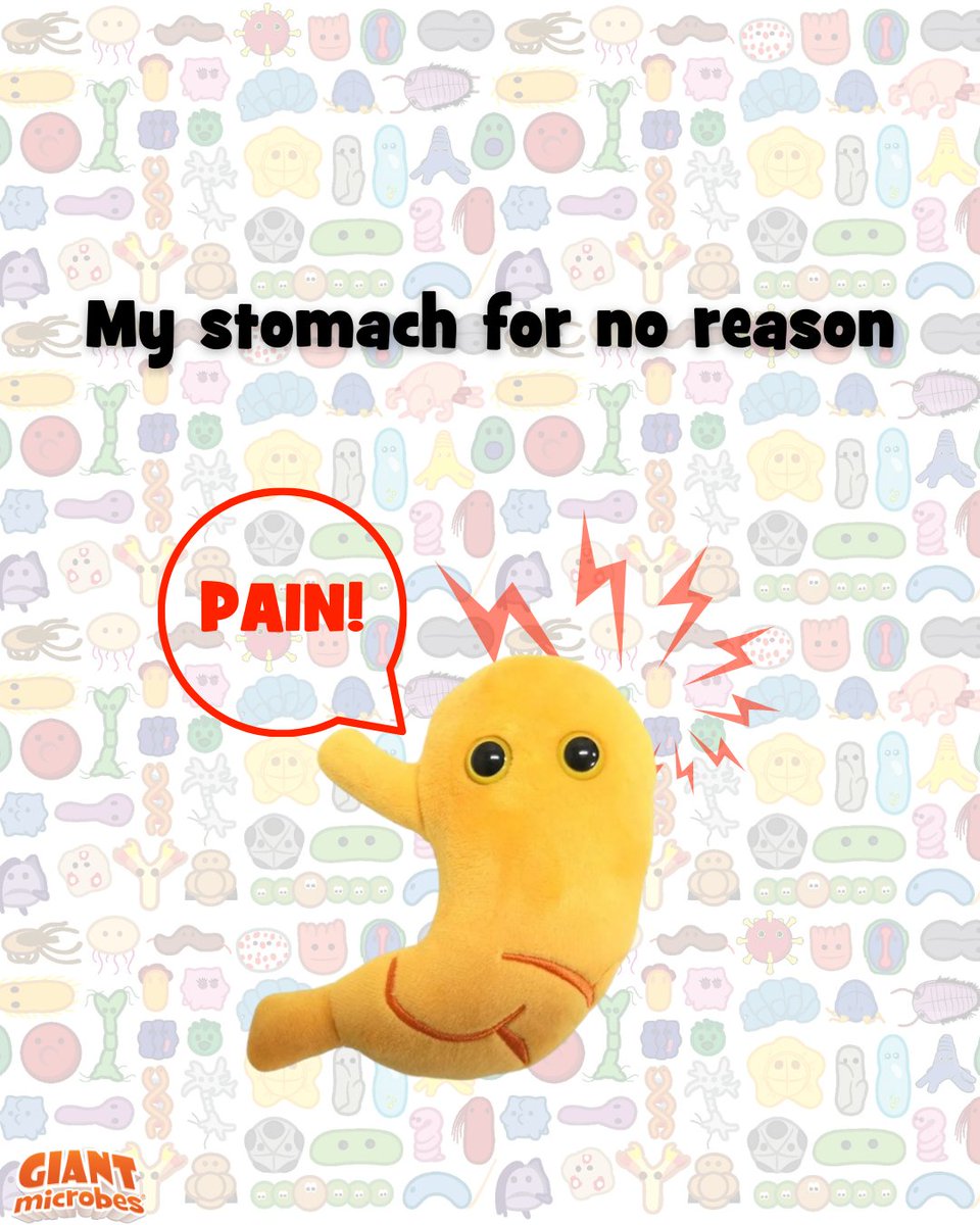 GIANTmicrobes's tweet image. Me: I literally did nothing??? 😠🦴

At least these ones are soft, educational, and significantly less dramatic.

Snag their friendlier counterparts here: giantmicrobes.com/us/main/organs

#Chronic #Organ #GIANTmicrobes #Plushies #Biology
