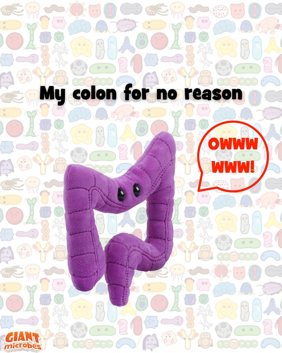 GIANTmicrobes's tweet image. Me: I literally did nothing??? 😠🦴

At least these ones are soft, educational, and significantly less dramatic.

Snag their friendlier counterparts here: giantmicrobes.com/us/main/organs

#Chronic #Organ #GIANTmicrobes #Plushies #Biology