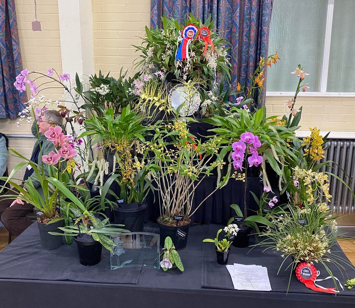 pask_steve's tweet photo. Our display today at Sheffield Orchid Show 😃 Great to see lots of other society members and traders for our first show this year. Well done to all. https://t.co/sKHb1u5Lht
