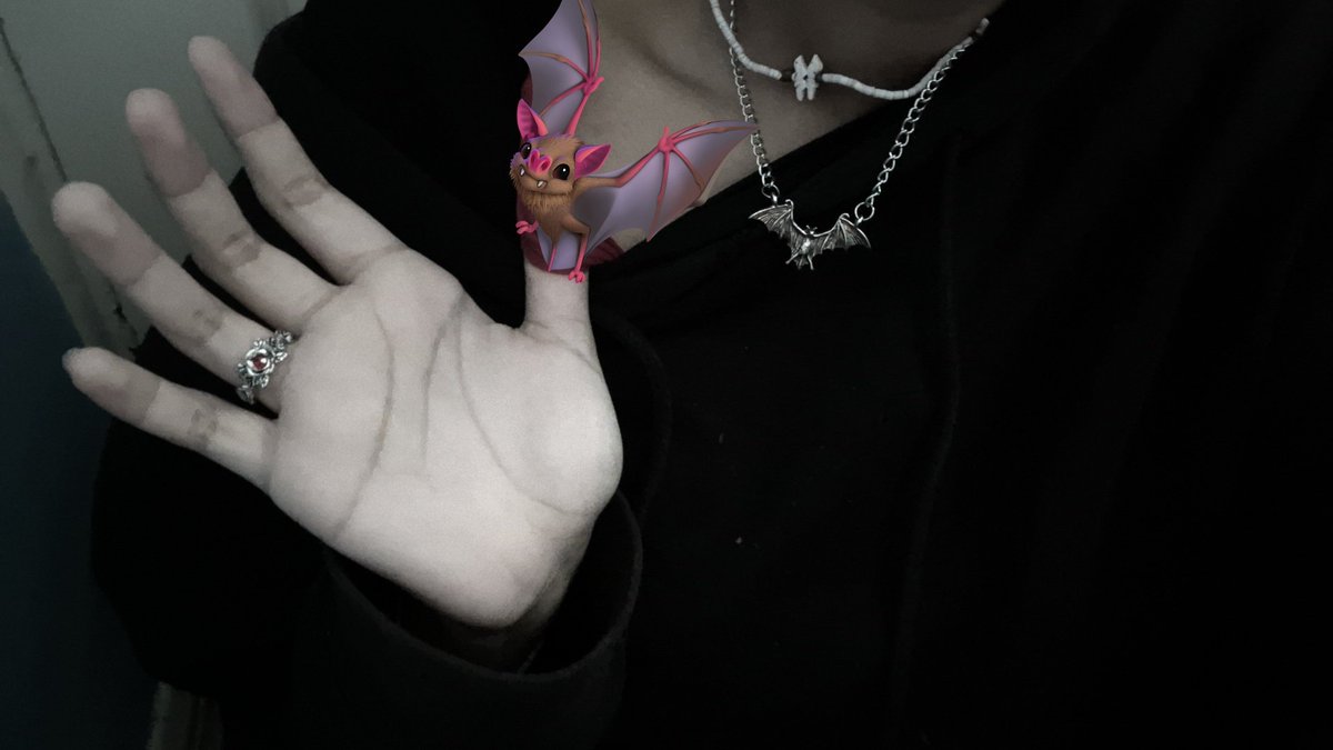 Кагисо tweet media