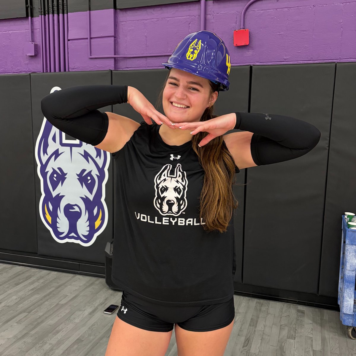 UAlbany Volleyball tweet media