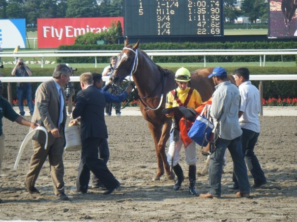 ThorobredZone's tweet photo. #Curlin After His Turf Try https://t.co/mo88kvNz44