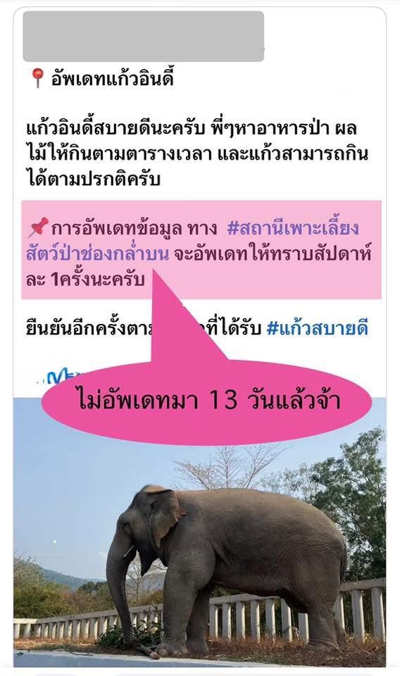 Justice for หูพับ tweet media
