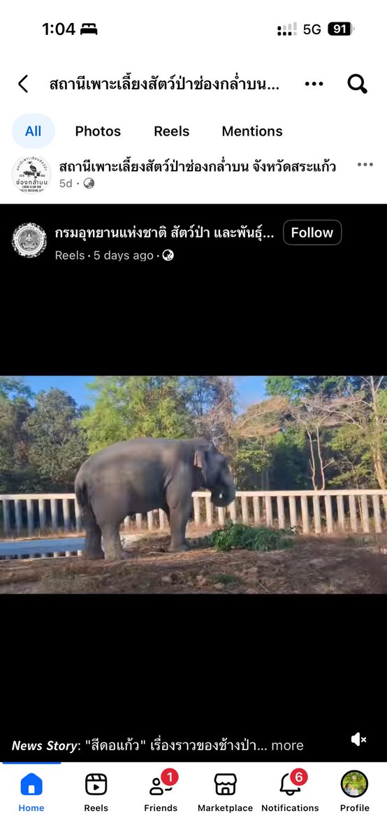 Justice for หูพับ tweet media