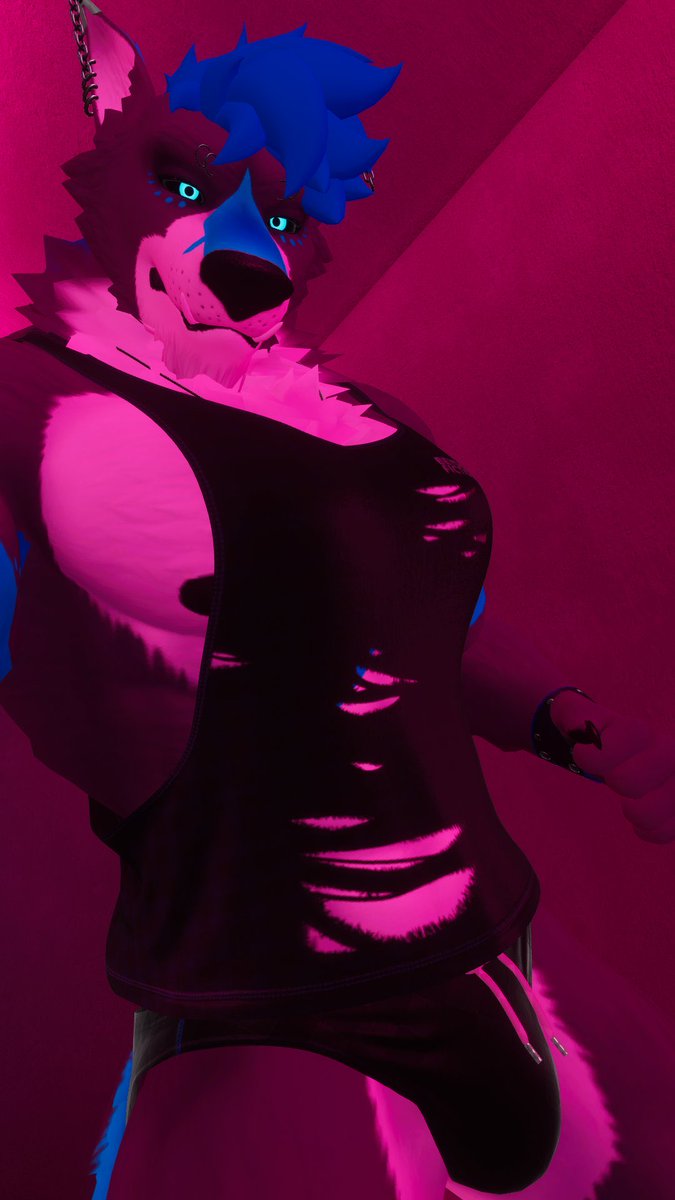 🐾🐾GrumpyHusky 🐾🐾 🔜FWA26 tweet media