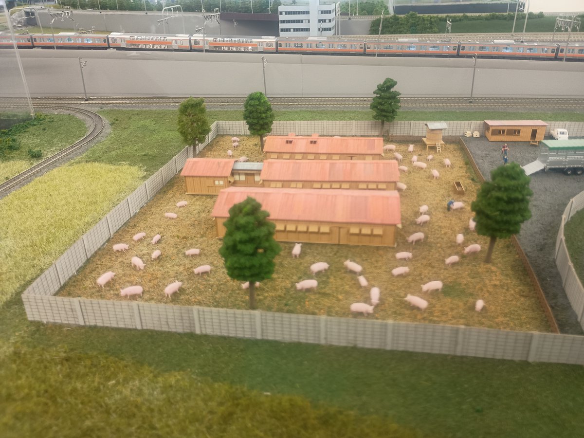 Bumin_haya tweet media