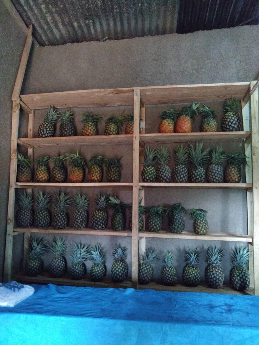 CARITAS DIOCESAINE BYUMBA tweet media