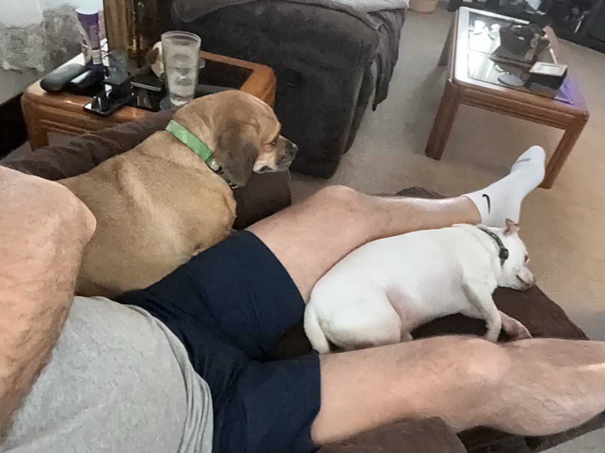 RealEdVogler® tweet media