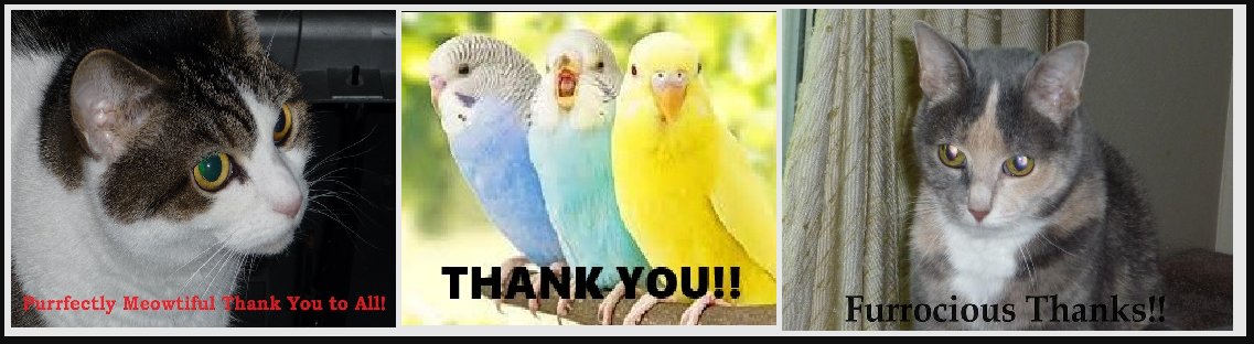 BluetrixBooks's tweet photo. To everyone who backed us, and who helped boost the signal: https://t.co/C12z3hDazH