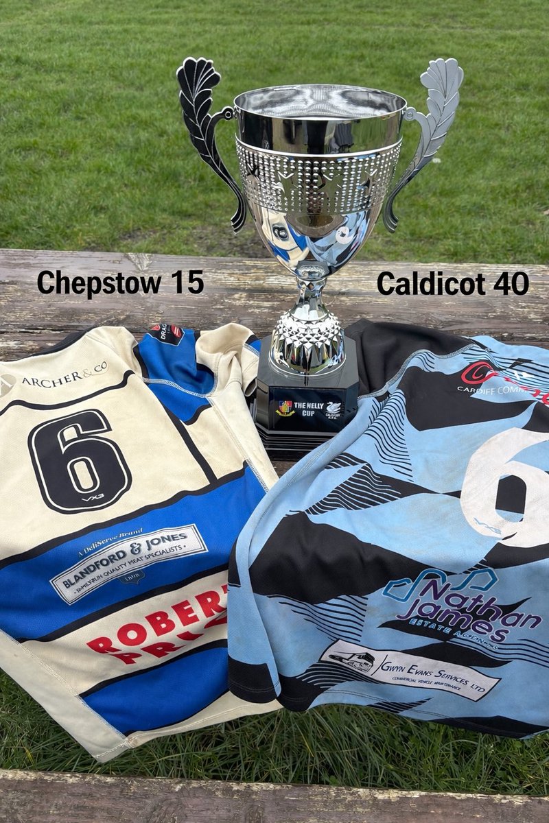 Caldicot Silver Geese tweet media