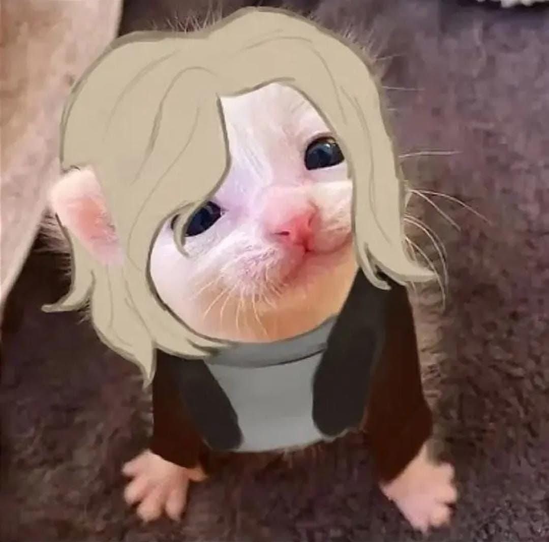 𝒜𝑺͡ℋ𝑪𝕽𝙾͜𝑭𝑇. tweet media