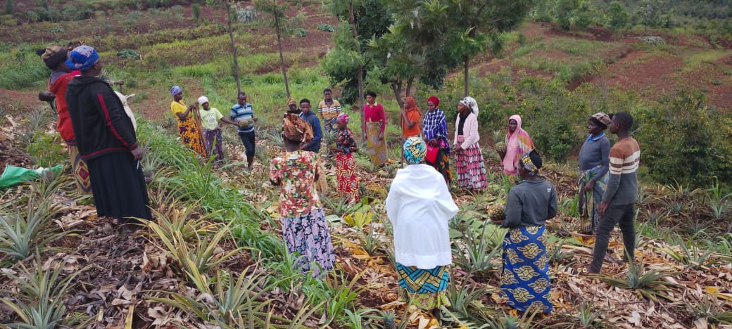 CARITAS DIOCESAINE BYUMBA tweet media