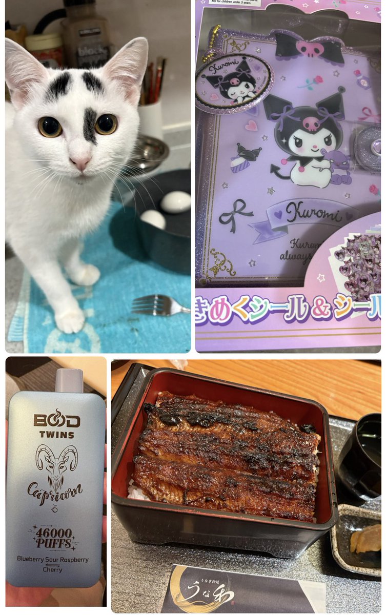 ♪

久しぶりうな和行った〜🍚
やっぱ鰻は大好物💓

ゆで卵作ったらマロアがめちゃくちゃ狙ってた🥚

クロミのシール帳〜😍ドンキでたまたま発見✨️
ラス1だったからって…そんな興味なかったけど買ってしもた( ºﾛº)

シーシャ🚬あれ美味かったけど中々買えないらしぃ👾

さて。休日を満喫しよ🥳