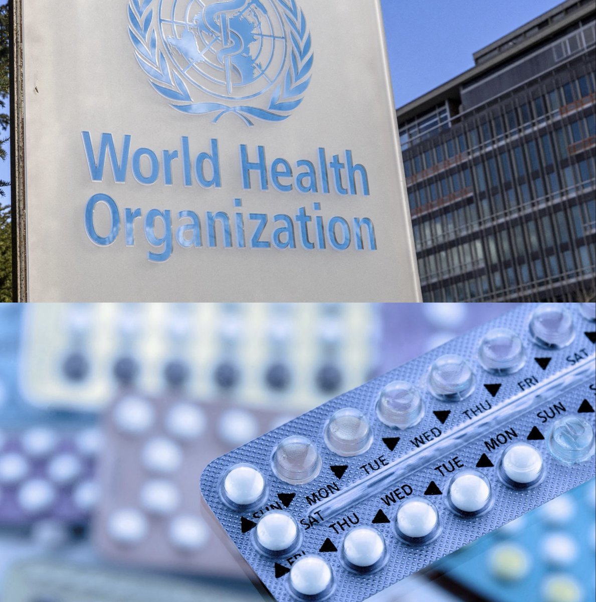 Liz Churchill tweet media