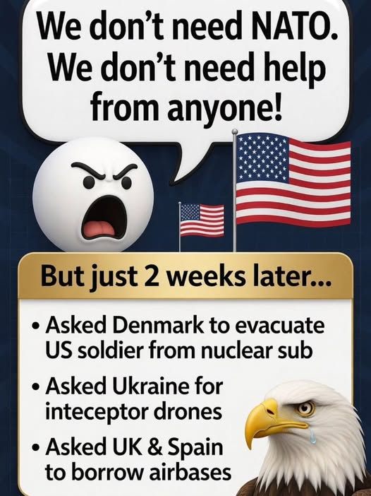 dave lawrence 🐟🐟🐠 tweet media