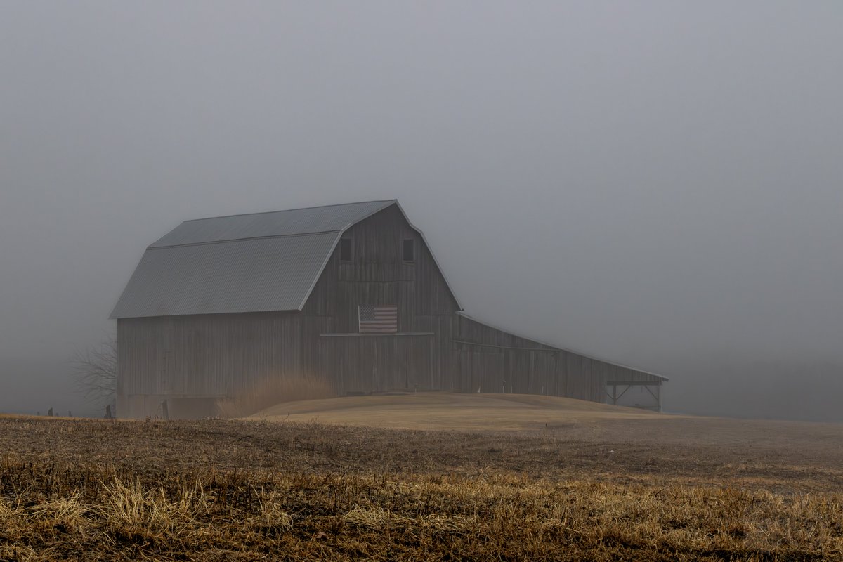 Peter C. tweet media