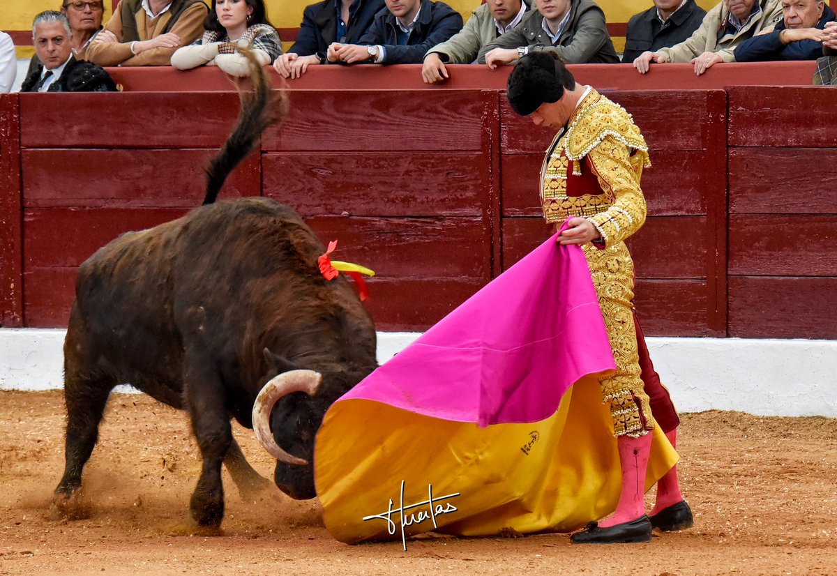 Daniel Luque tweet media