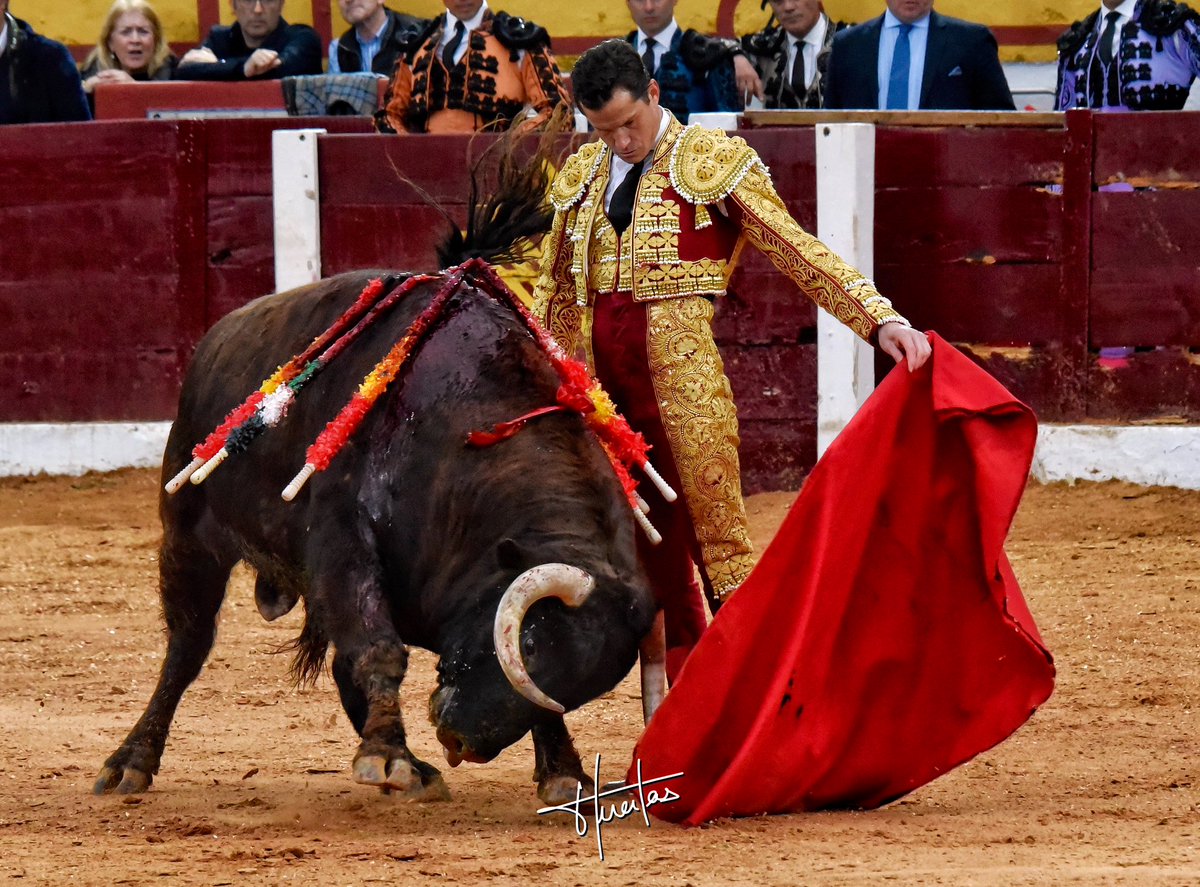 Daniel Luque tweet media