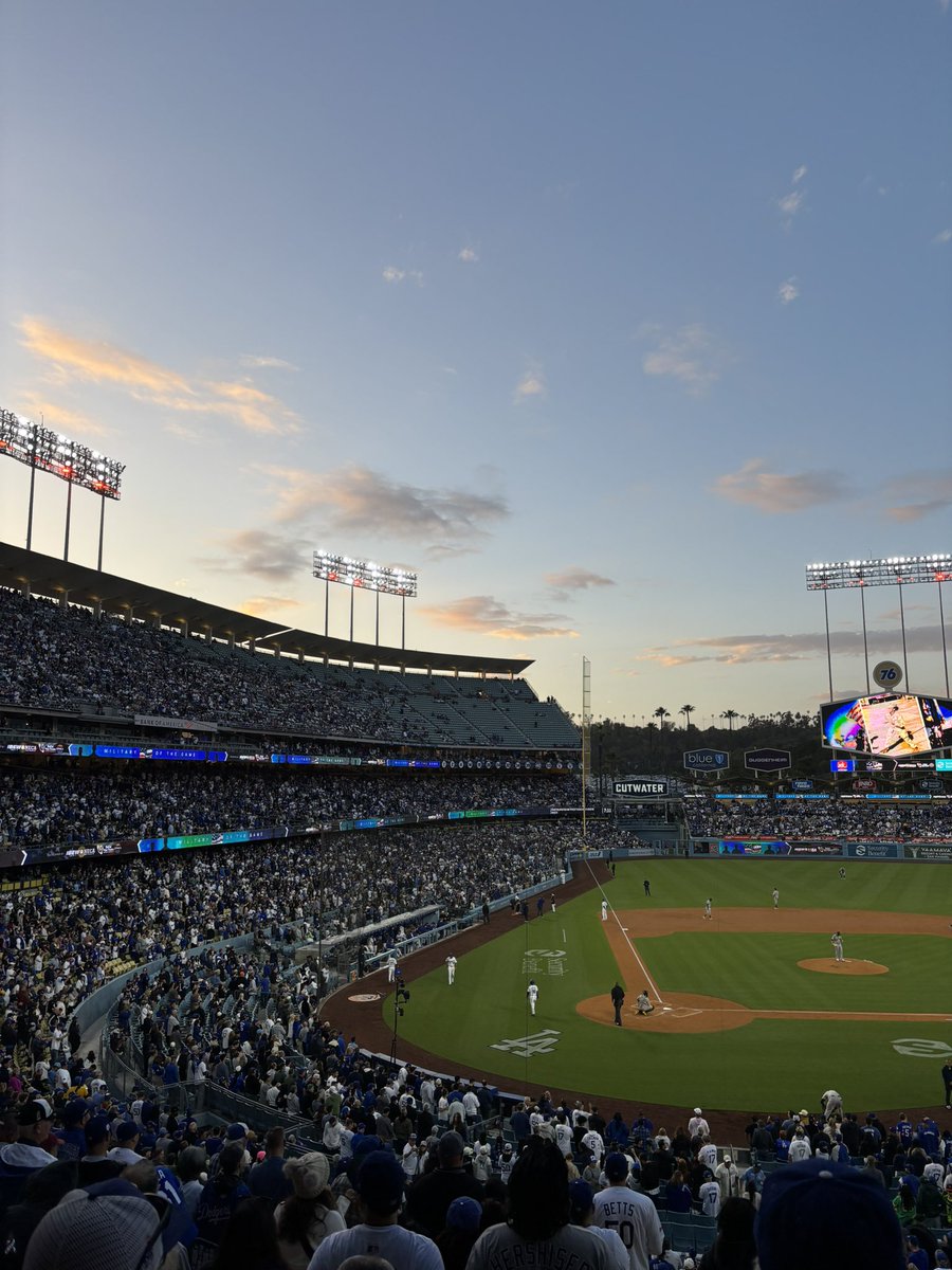 annoying ohtani fan tweet media