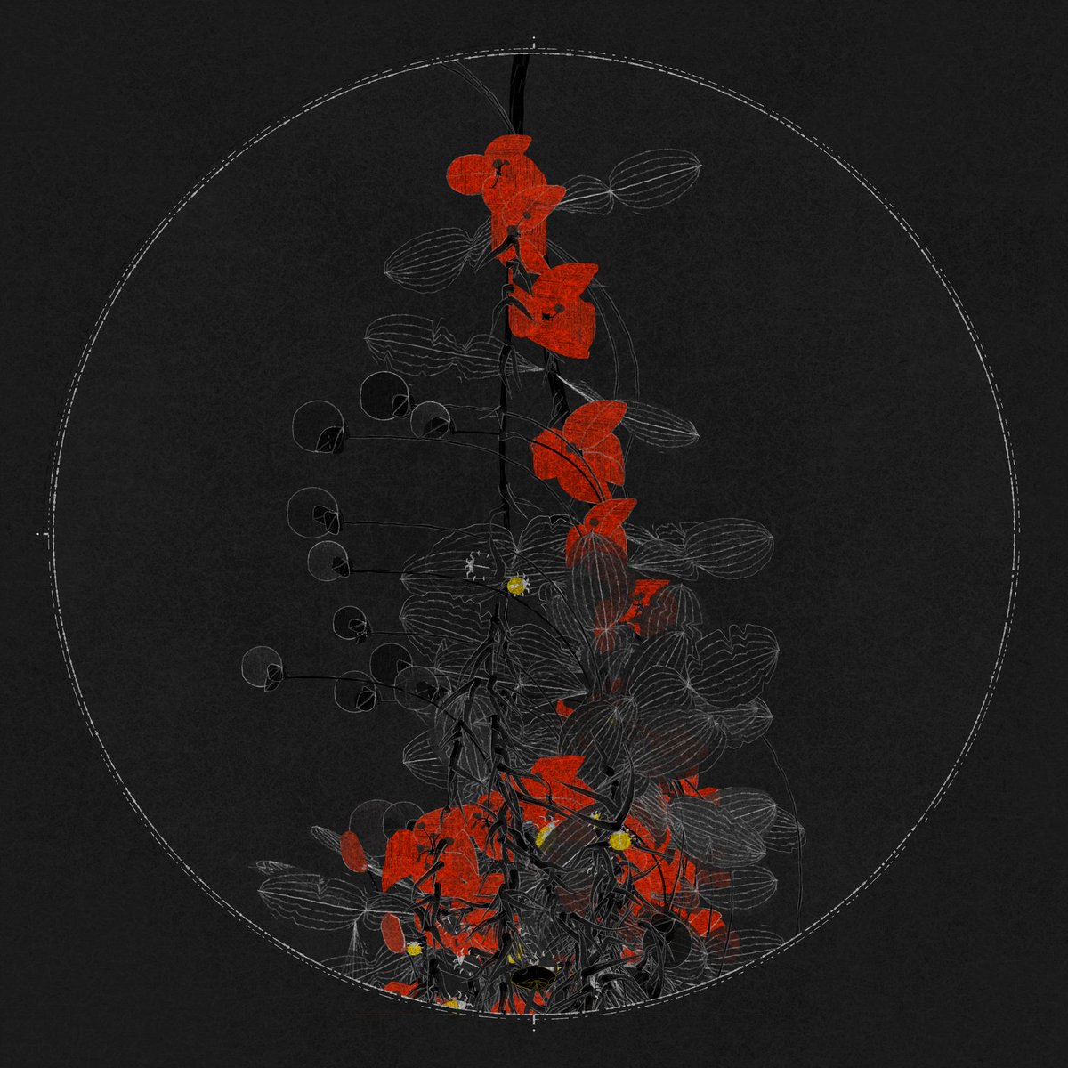 Verse Sales & Listings tweet media