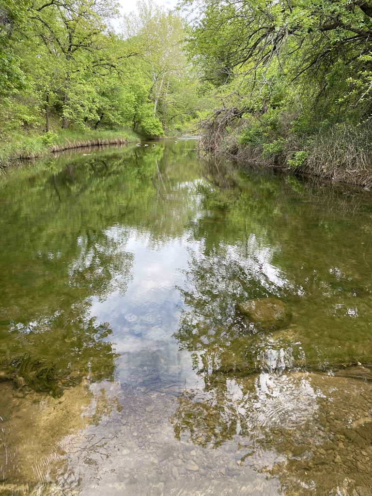 TravelOK.com tweet media