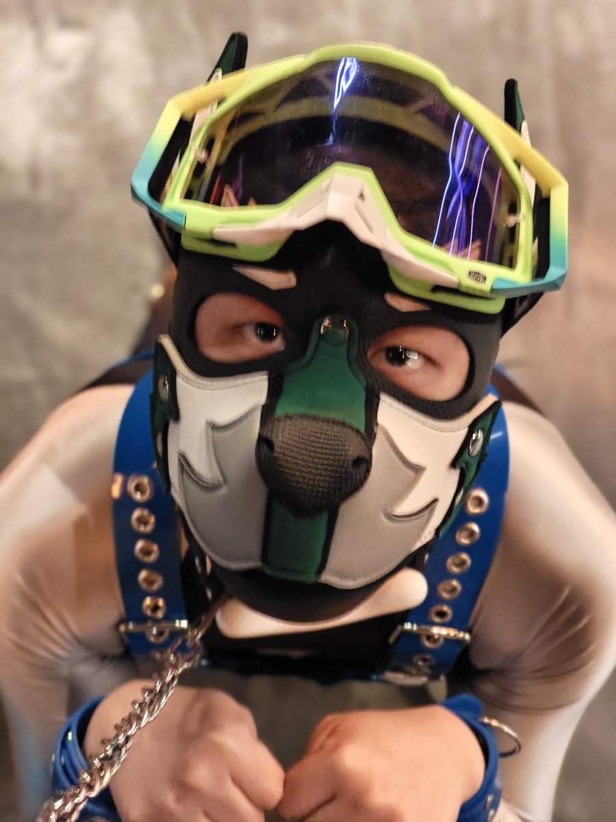 我有一个世界上最爱我的主人，
所以天上的星星
也倒映进了我的眼眶ଘ(੭ˊᵕˋ)੭*
主人：<a href="/yezhifensheng/">奶香椰子汁</a>
📷：<a href="/jiangzhi6866/">峰峰</a>