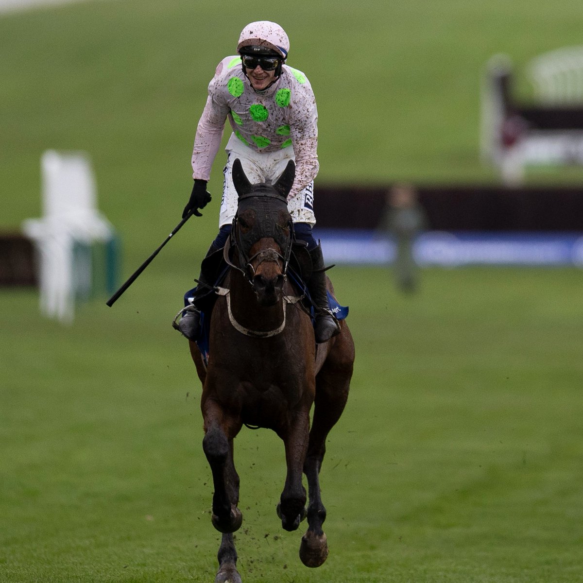 Racing Post tweet media